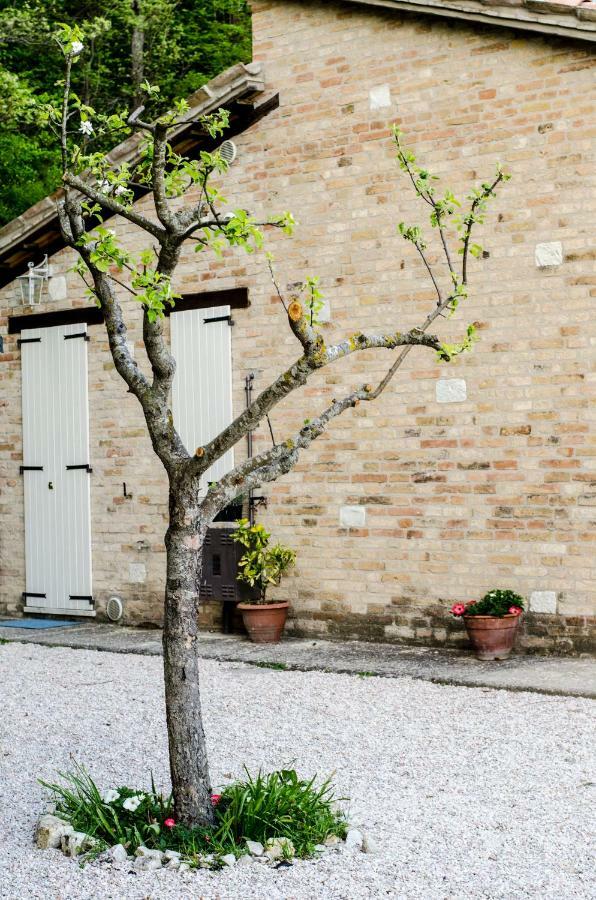 Bed and Breakfast Calmancino Delle Selve Urbino Exteriér fotografie