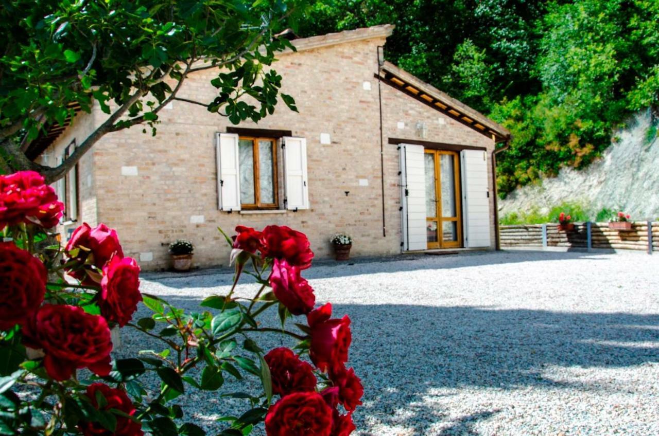 Bed and Breakfast Calmancino Delle Selve Urbino Exteriér fotografie