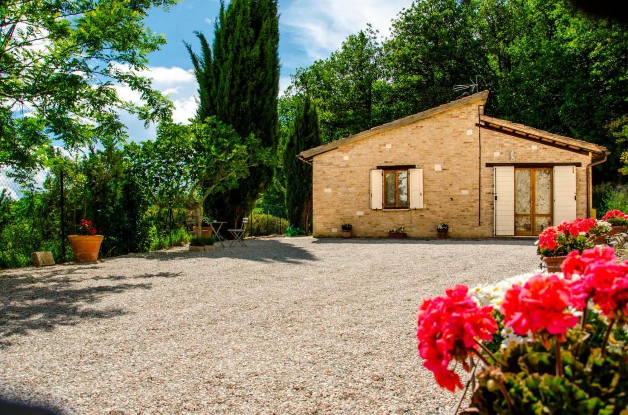 Bed and Breakfast Calmancino Delle Selve Urbino Exteriér fotografie