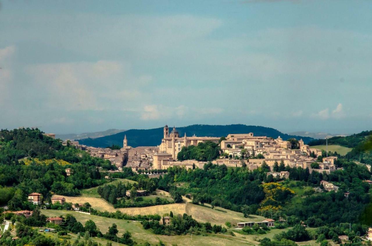 Bed and Breakfast Calmancino Delle Selve Urbino Exteriér fotografie