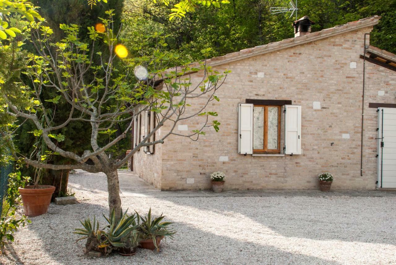 Bed and Breakfast Calmancino Delle Selve Urbino Exteriér fotografie